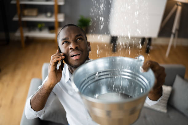 Best Carpet water damage restoration  in Samson, AL