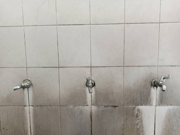 Best Professional water damage repair  in Samson, AL